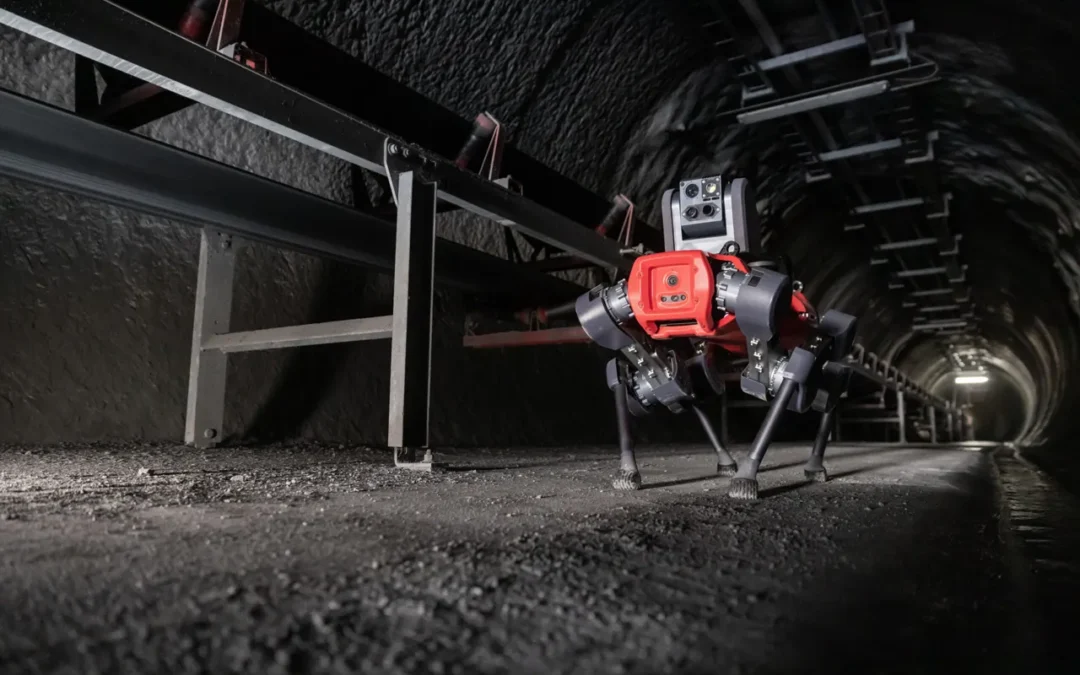 Spotlight auf ANYbotics